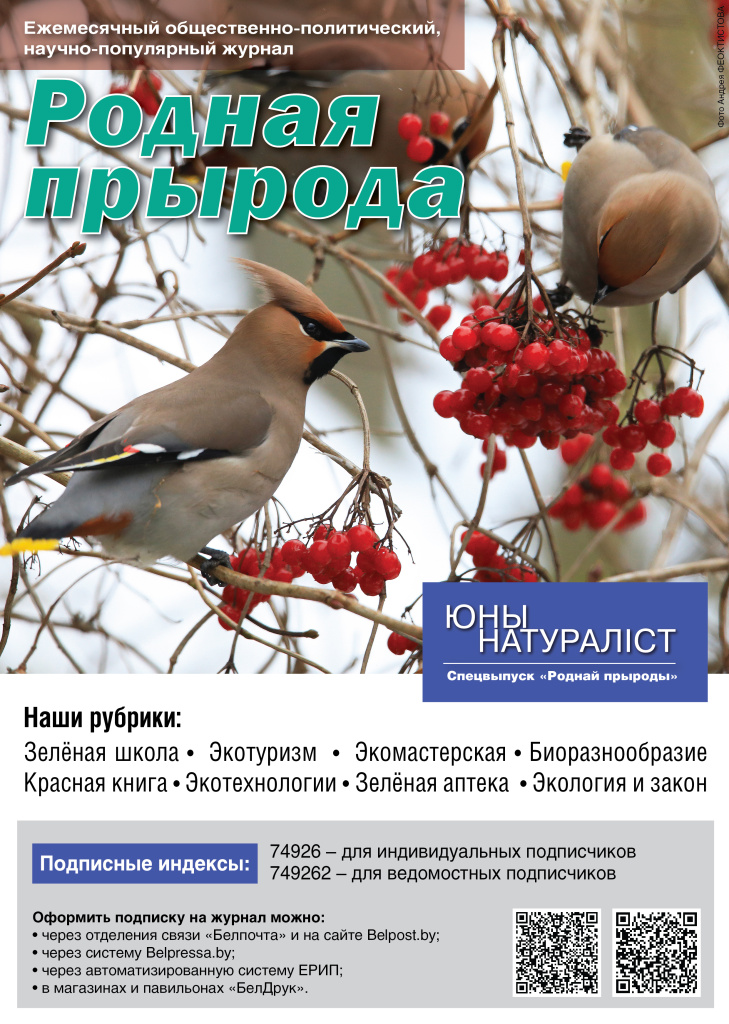 РП_рэкл.рассылка_cін.jpg
