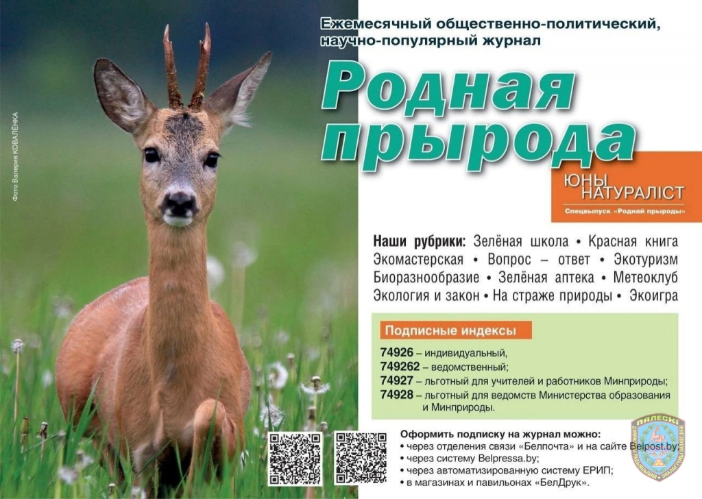 новость.jpg