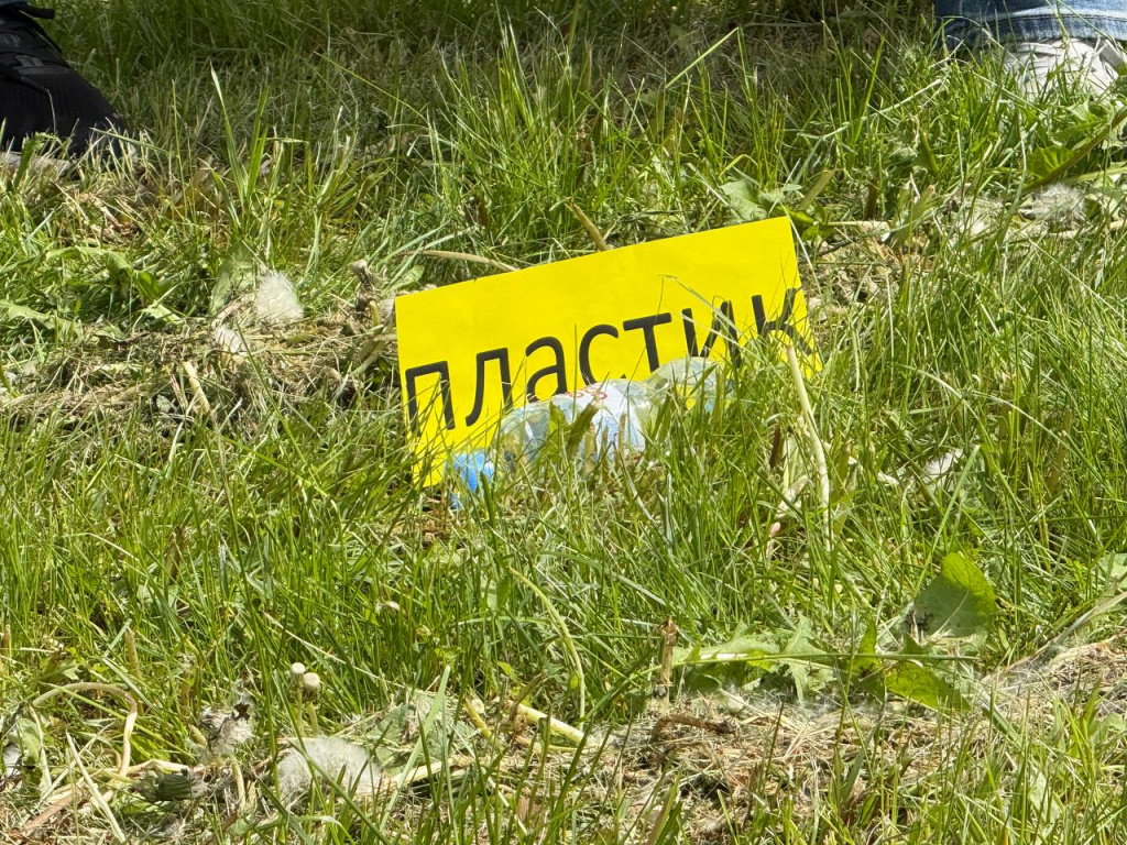 5235877941047138843 (1).jpg